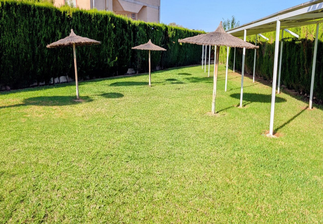 Apartamento en Torrevieja - Casa KM