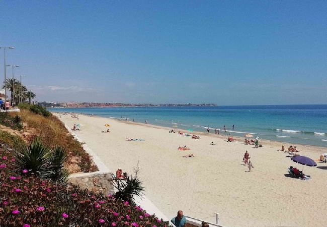 Appartement à San Miguel de Salinas - Coco Appartement à San Miguel de Salinas - Coco