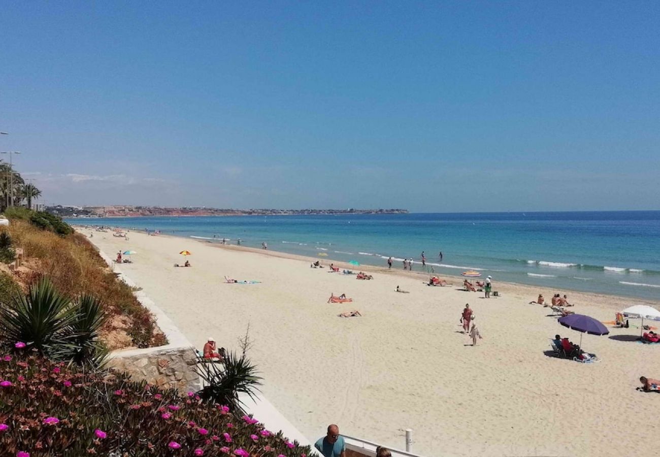 Appartement à San Miguel de Salinas - Coco