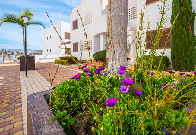 Appartement à San Juan de los terreros - Orquidea Appartement à San Juan de los terreros - Orquidea
