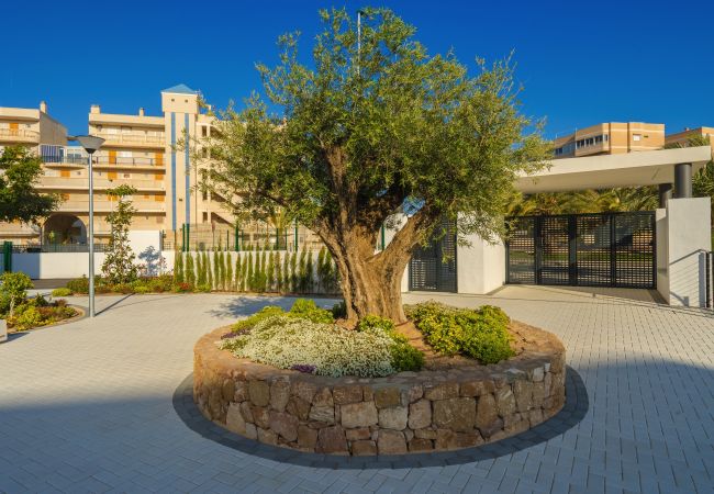 Appartement à Arenales del Sol - Cocoon Appartement à Arenales del Sol - Cocoon