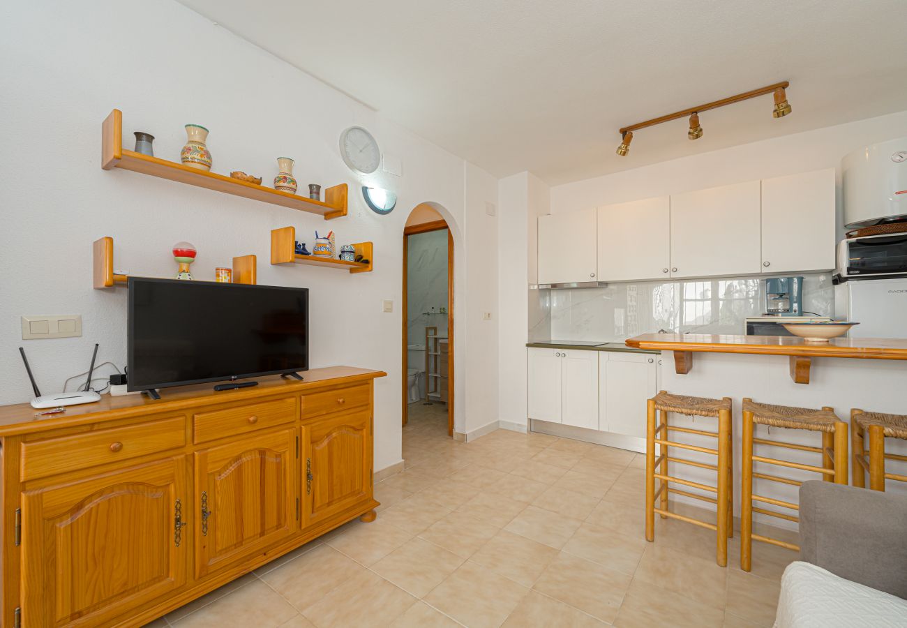 Appartement à Torrevieja - Jardin 84