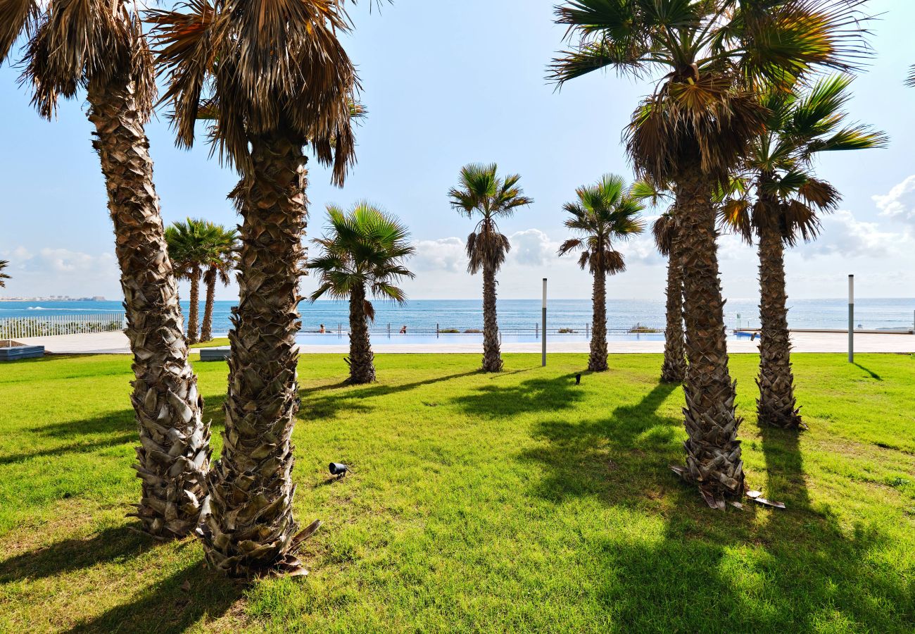 Appartement à Torrevieja - Posedonia (Punta Prima)
