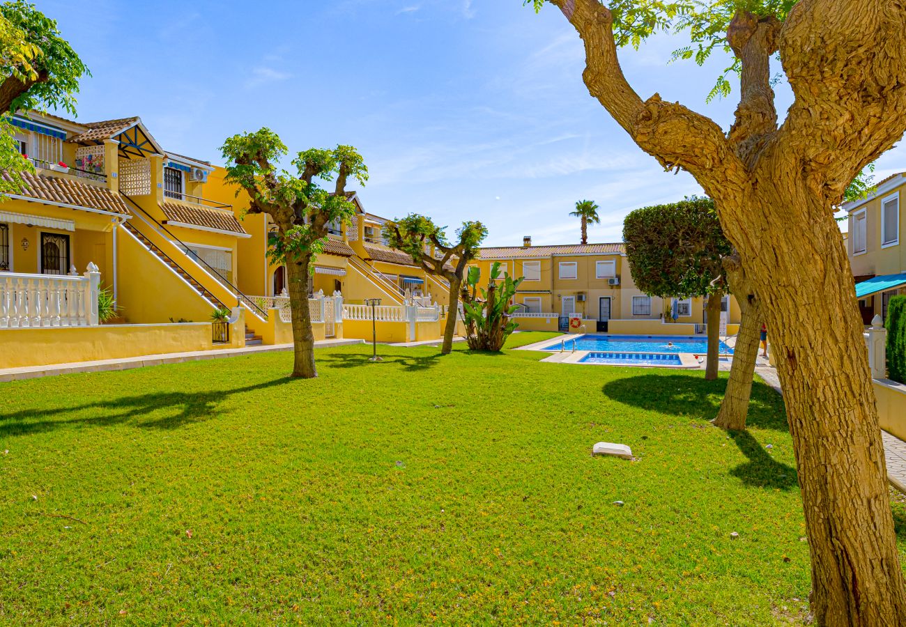 Appartement à San Miguel de Salinas - La Casita del Sol